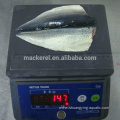 2022 New Arrival Frozen Fish Butterfly Mackerel Flaps